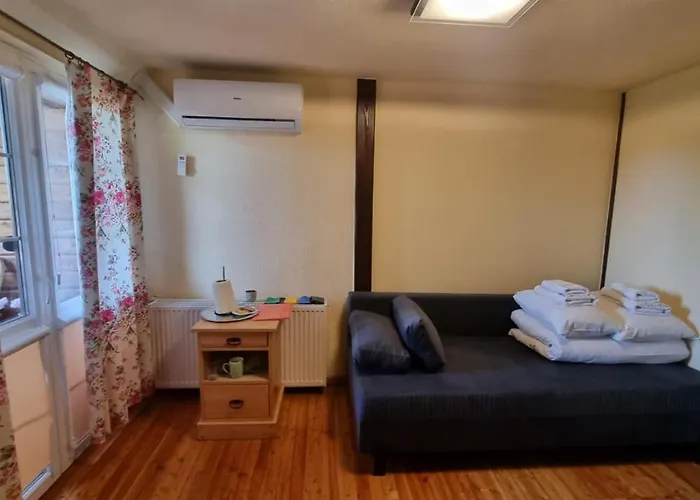 Séjour chez l'habitant Marina Lester House *